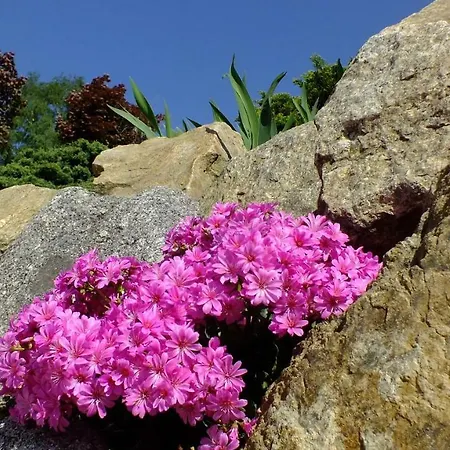 Palacyk Szklarska Maison d'hôtes 3*