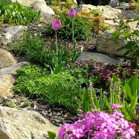 Maison d'hôtes Palacyk Szklarska