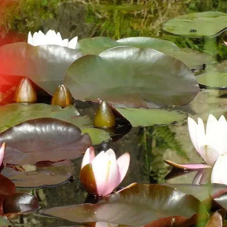 Palacyk Szklarska Maison d'hôtes