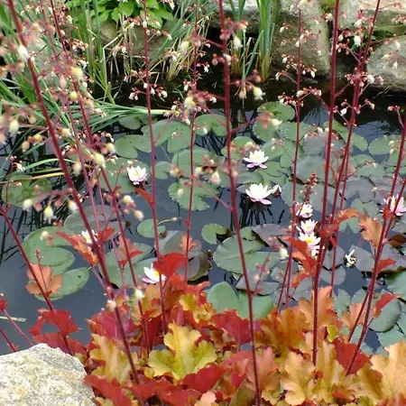 Palacyk Szklarska Piechowice (Karkonosze)