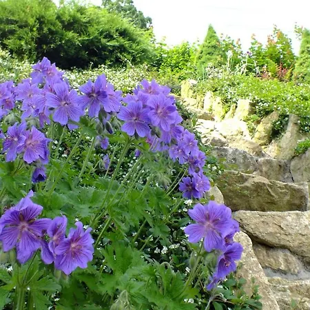 Maison d'hôtes Palacyk Szklarska Piechowice (Karkonosze)