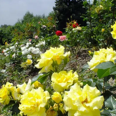 Palacyk Szklarska Maison d'hôtes