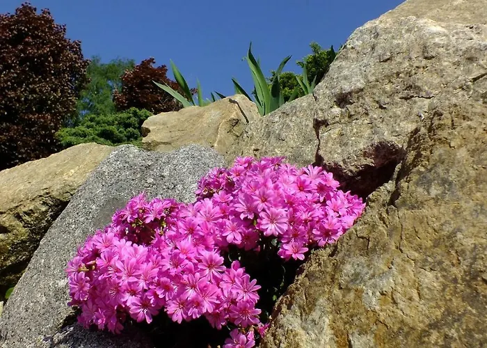 Palacyk Szklarska Guest house 3*