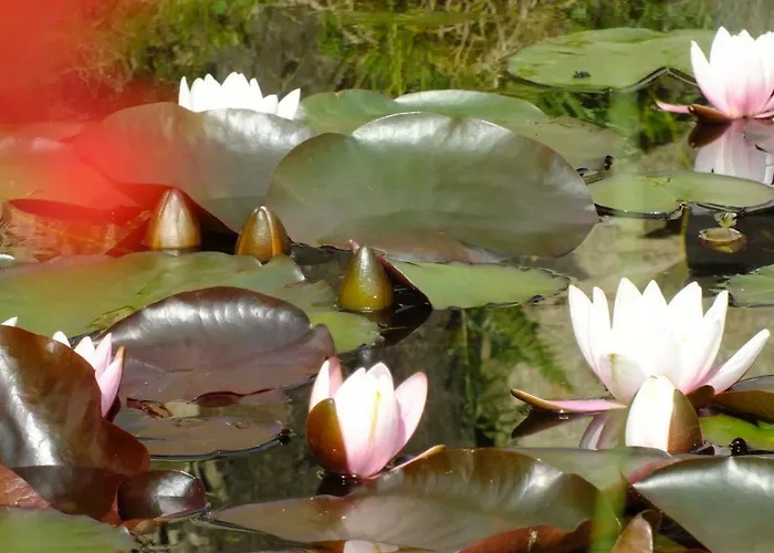 Palacyk Szklarska Guest house