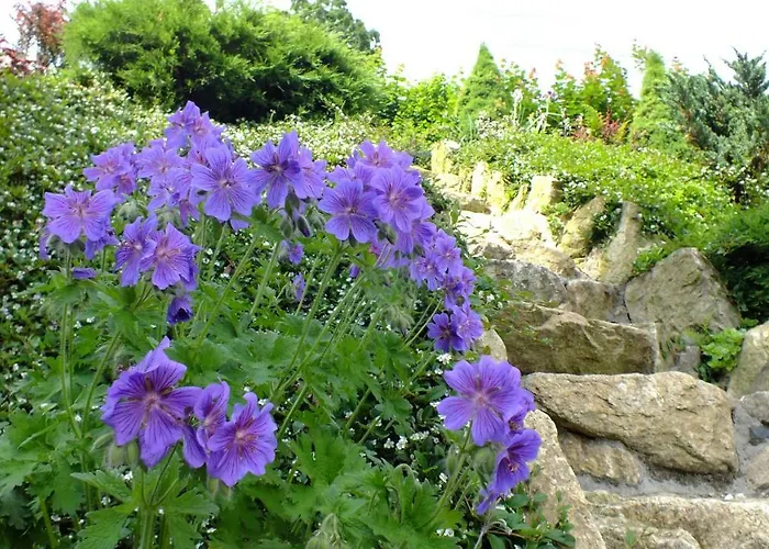 Guest house Palacyk Szklarska Piechowice (Karkonosze)