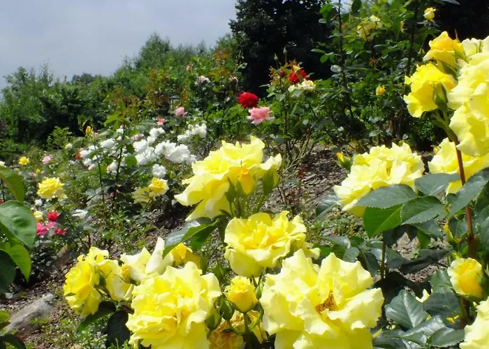 Palacyk Szklarska Guest house